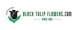 Black Tulip Flowers 